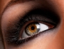 Want an Exotic Eye Look